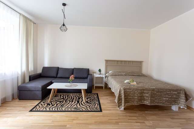 Апартаменты Violetos Lux Apartamentai2 Друскининкай-47